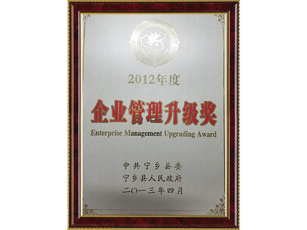 2012企业管理提升奖
